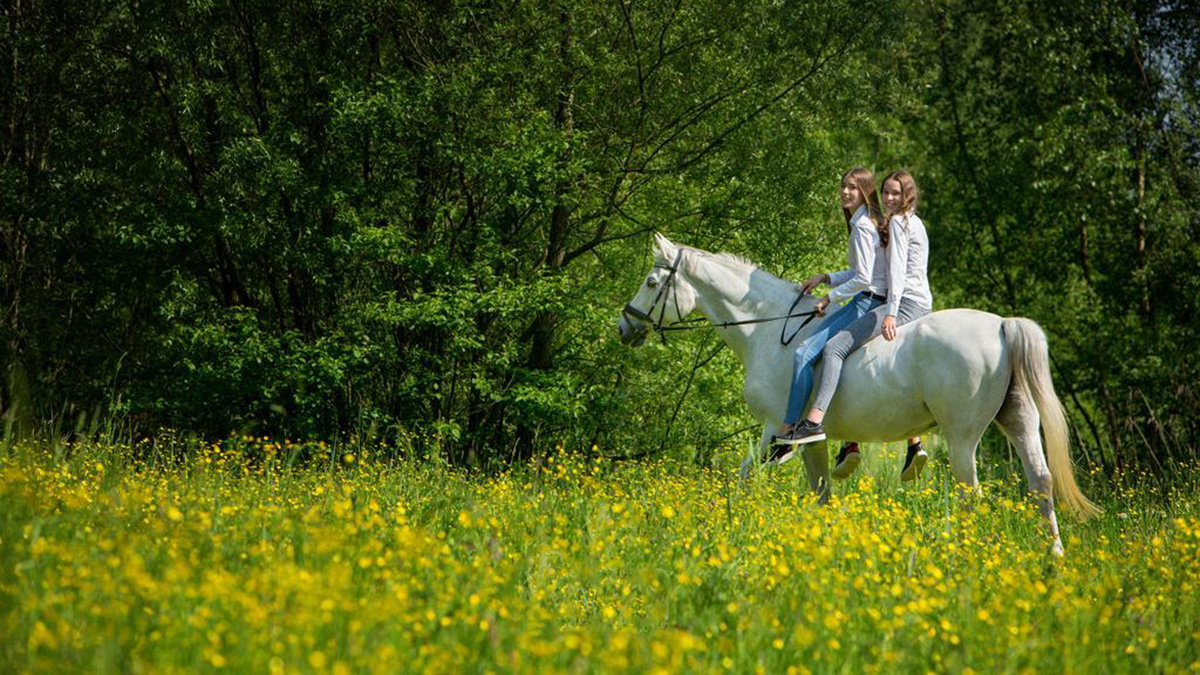 Fotoshoot stal Brigitta Willems