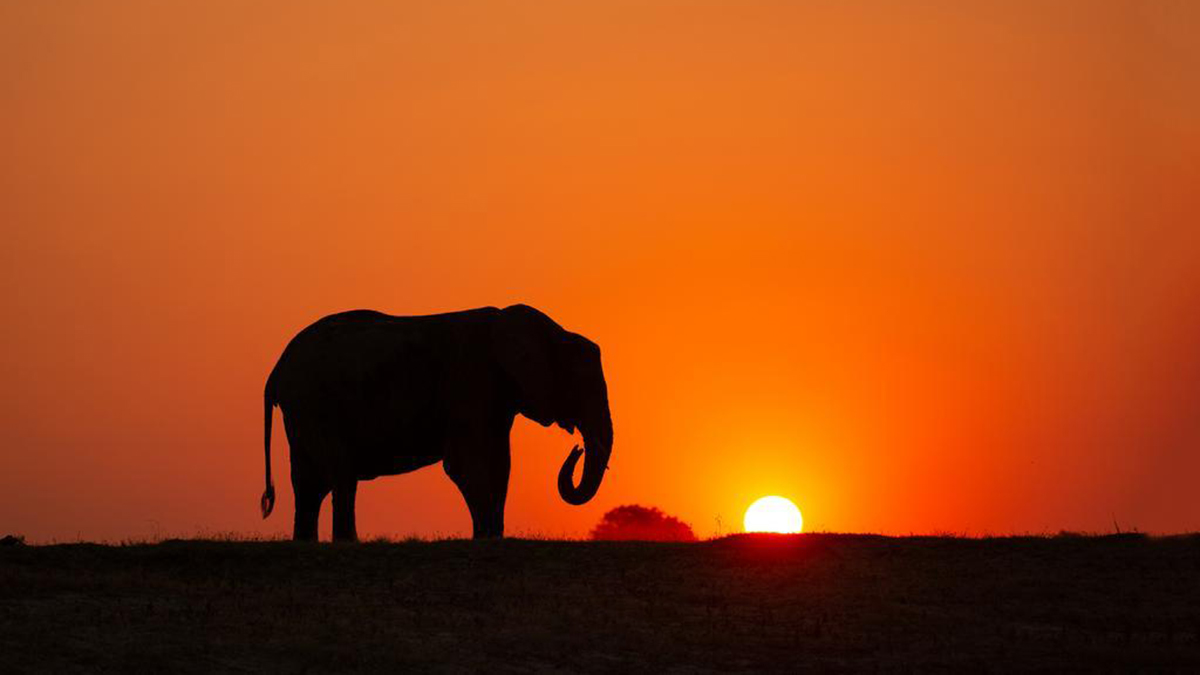 Fotoreis Namibie en Botswana